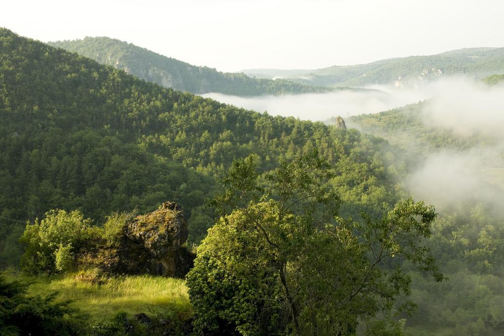 Le Colombier Saint-Veran La Roque-Sainte-Marguerite Ngoại thất bức ảnh
