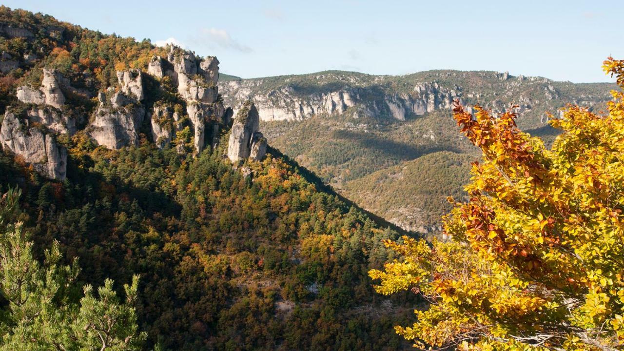 Le Colombier Saint-Veran La Roque-Sainte-Marguerite Ngoại thất bức ảnh